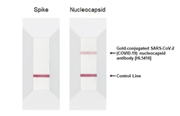 Anti-SARS-CoV-2 (COVID-19) Nucleocapsid antibody [HL5410] (Gold) used in Immunoassay (Immunoassay). GTX635685-17
